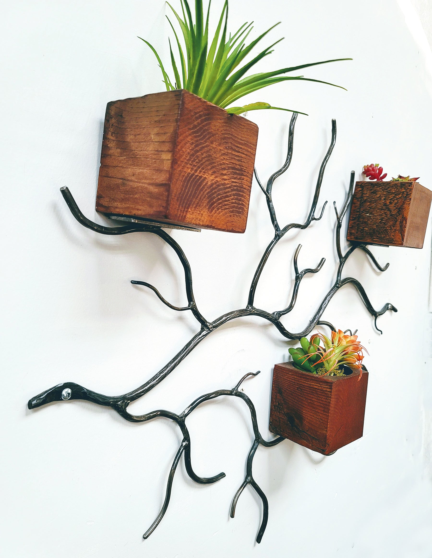 Tree Branch Wood and Metal Wall Planter
