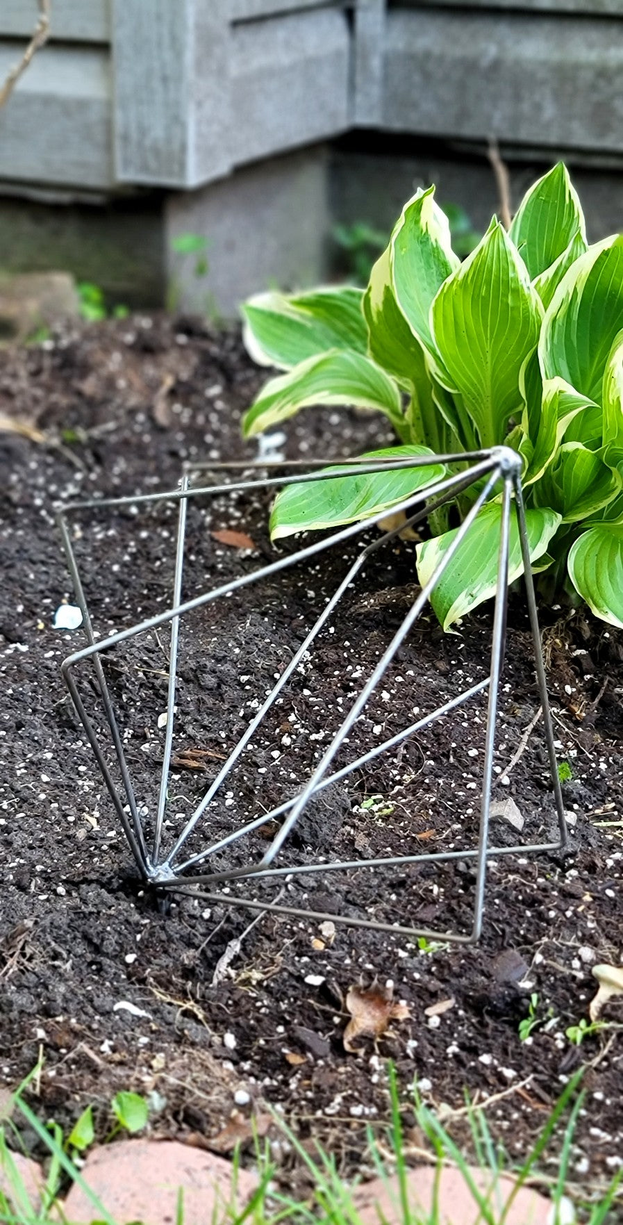 Geometric metal shape for garden